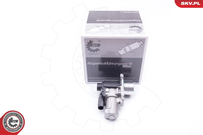 EGR Valve
